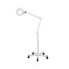 Lampe loupe LED WILL